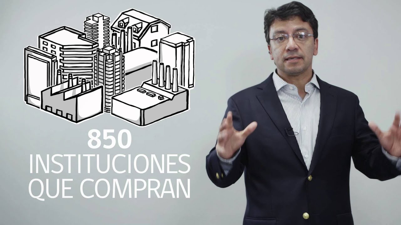 Capacitaci&oacute;n Compras P&uacute;blicas Cap 1