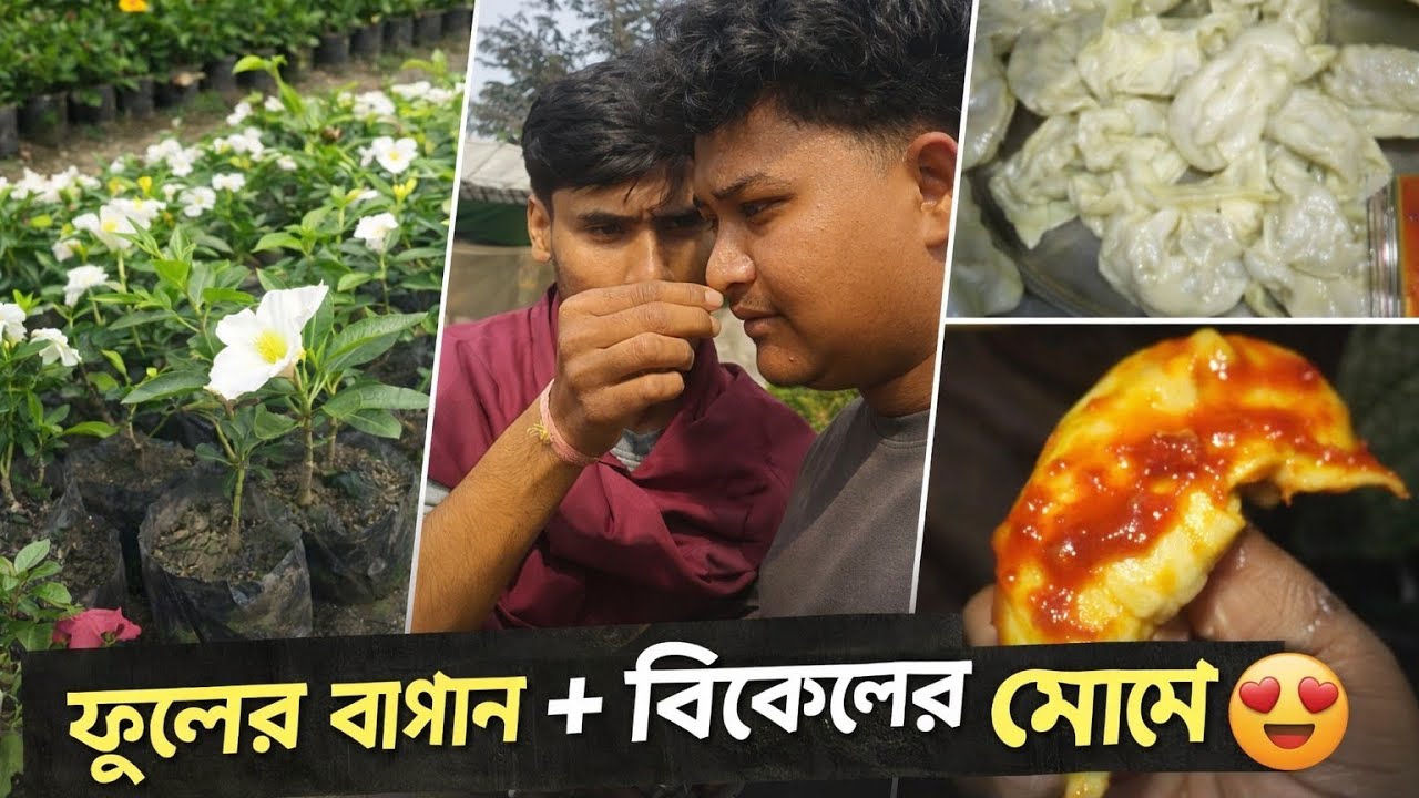 🌸 ক্রান্তির ফুলের বাগান | বিকেলে সবার জন্য মোমো নিয়ে এলাম 😍