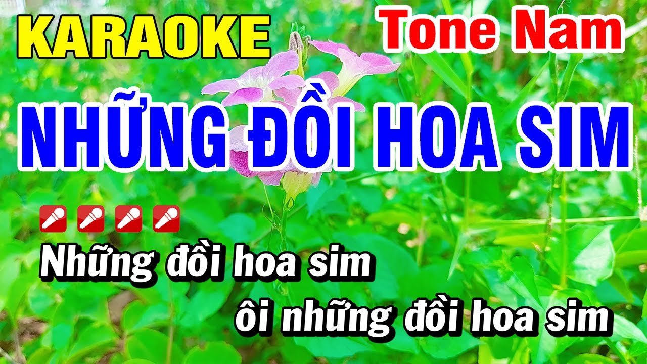 Karaoke Những Đồi Hoa Sim Nhạc Sống Tone Nam Mới 2023 | Hoài Phong Organ