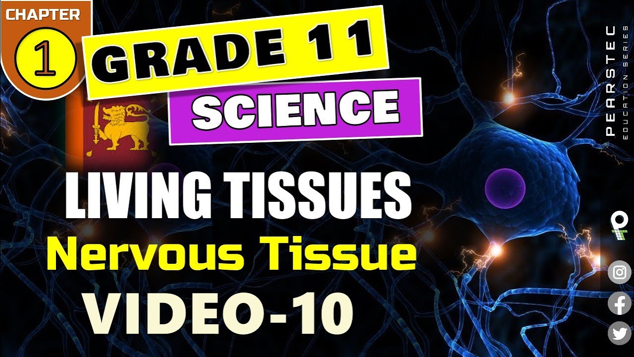 Grade 11 Science English : Ch 1/10 - Nervous Tissue