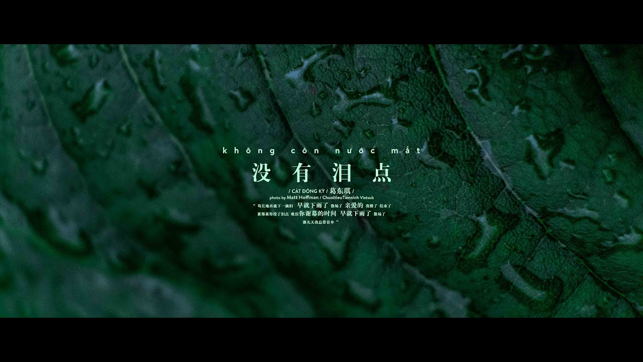 [Vietsub] Không Còn Nước Mắt - Cát Đông Kỳ | 没有泪点 - 葛东琪