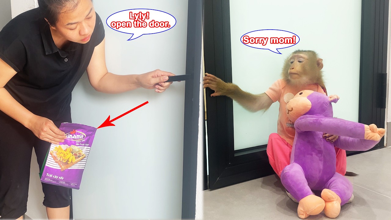 Lyly the monkey trudged back to her room and closed the door, which saddened her mother.