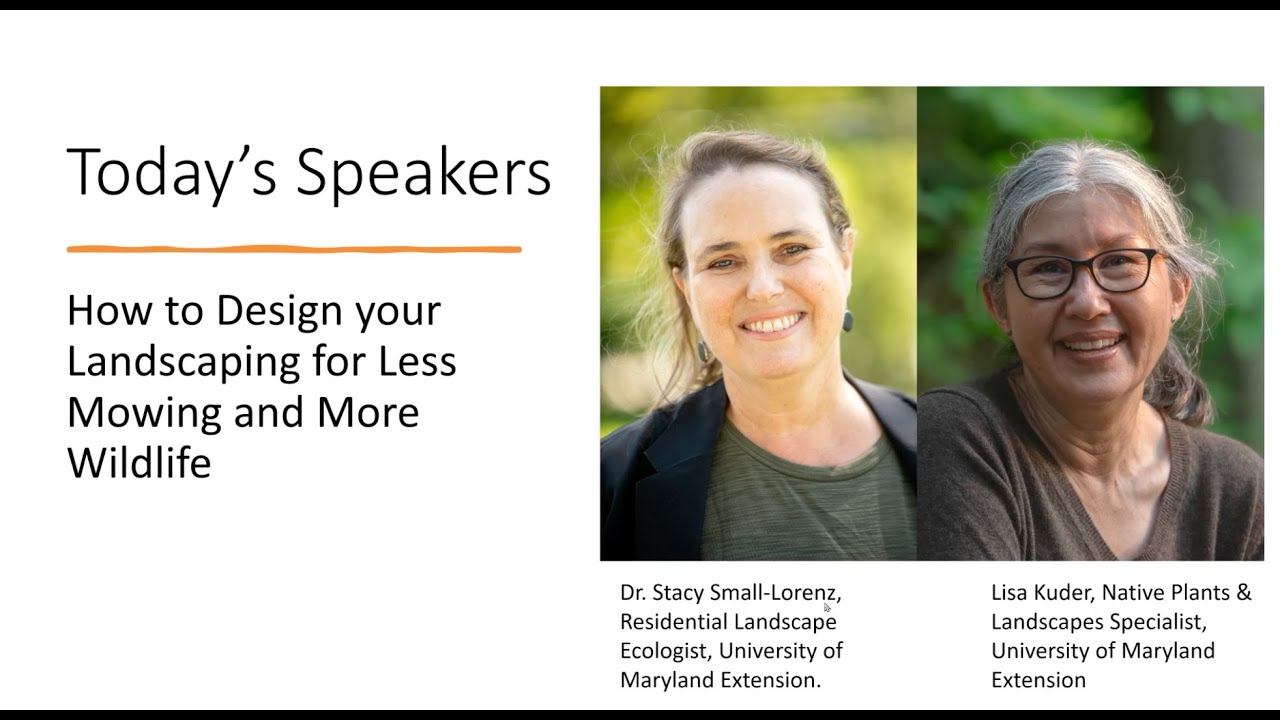 Landscaping for Less Mowing and More Wildlife - Dr. Stacy Small-Lorenz and Lisa Kuder- Episode 37