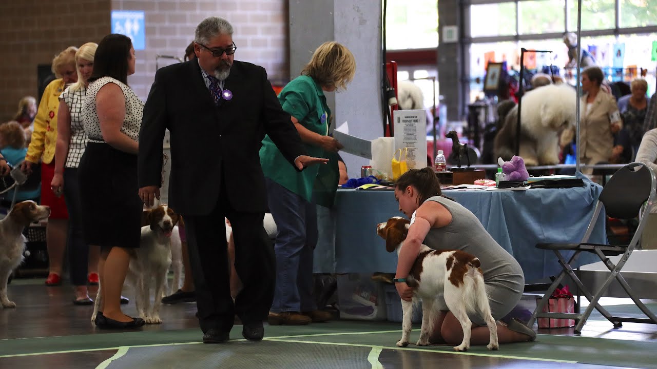 Foot placement for dog shows with Eric Salas