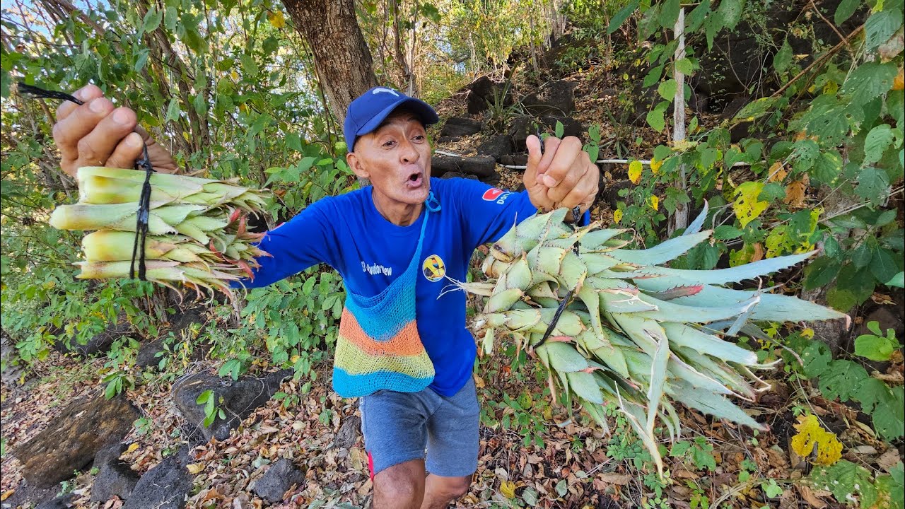 sacando piñicos en el salvador