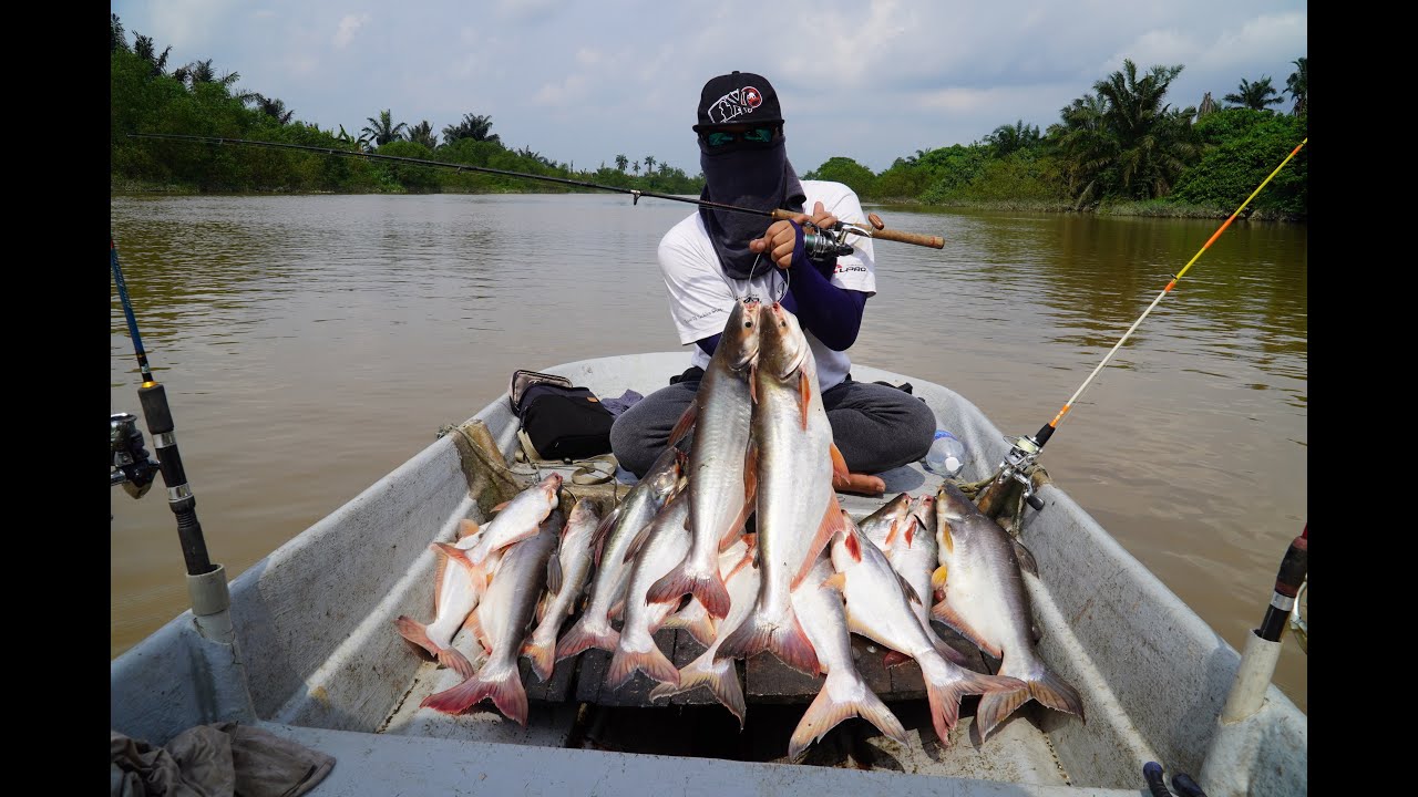 MANCING PATIN PERKASA SUNGAI LANGAT