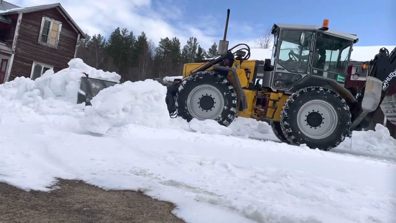 Huddig städar bort snöras, snart är det sommar