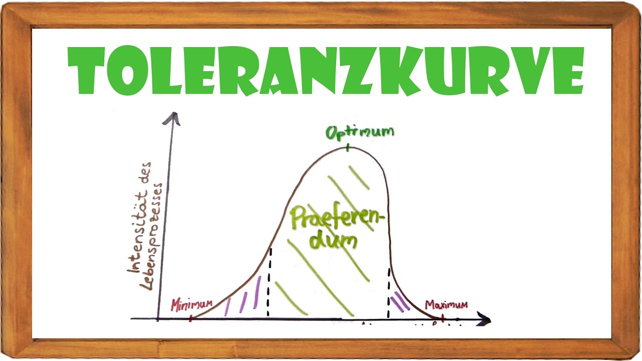 Toleranzkurve in 4 MIN - einfach erklärt! + Beispiele |ElenAlina