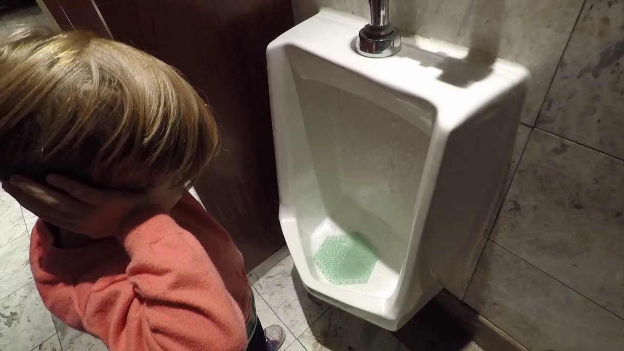Toilet & Elevator Tour: Renaissance Baltimore Harbor Place, Baltimore Maryland