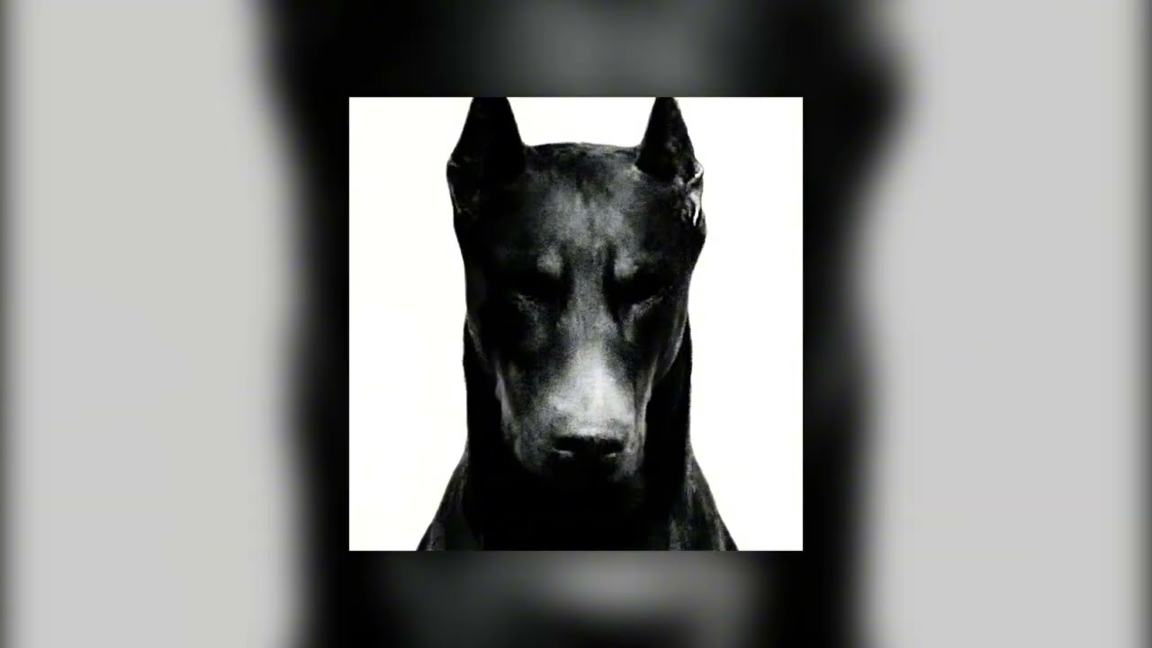 SRXPH - DOBERMAN HARDTEKK (Super Slowed)