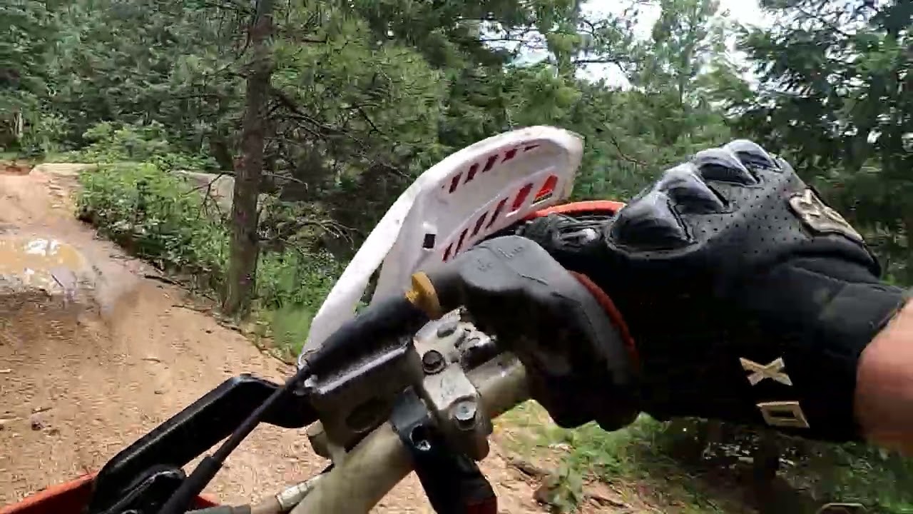 flowy trails