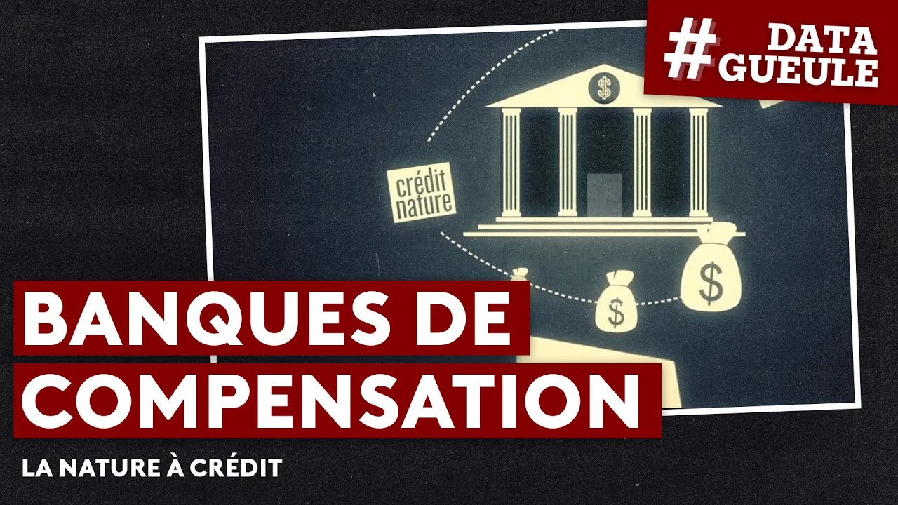 Banques de compensation : la Nature &agrave; cr&eacute;dit - #DATAGUEULE 35