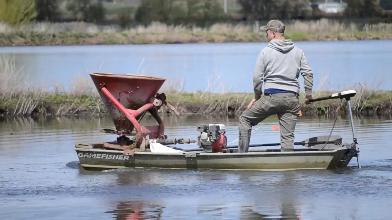 Planting Wild Rice
