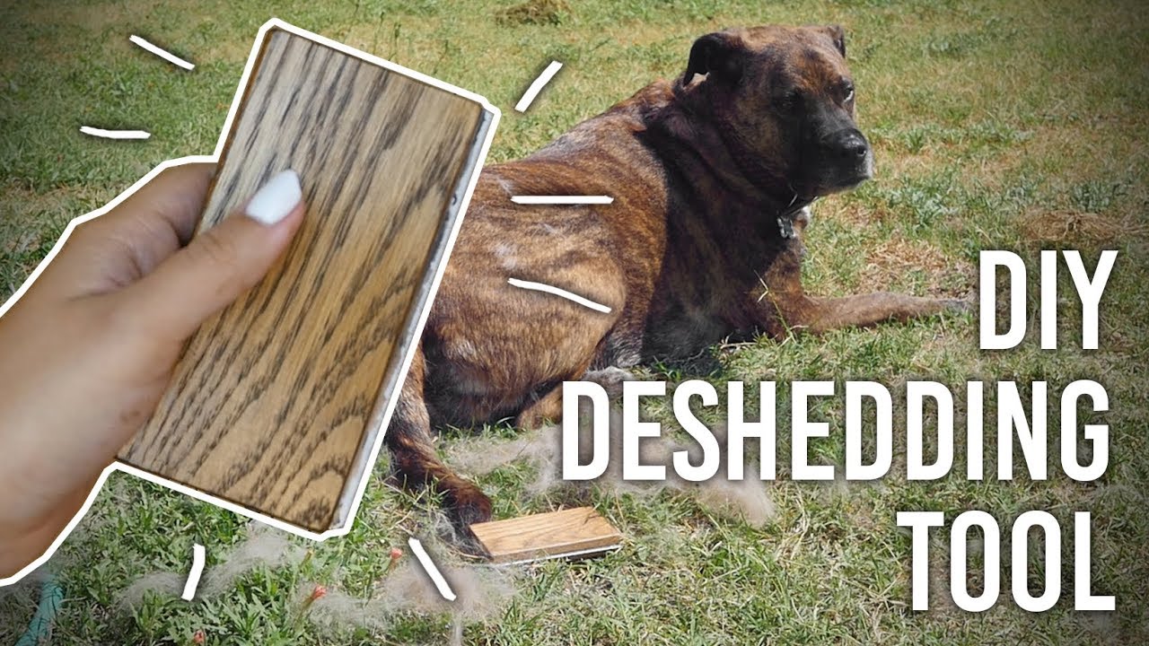 How to Make Dog Deshedding Brush - DIY