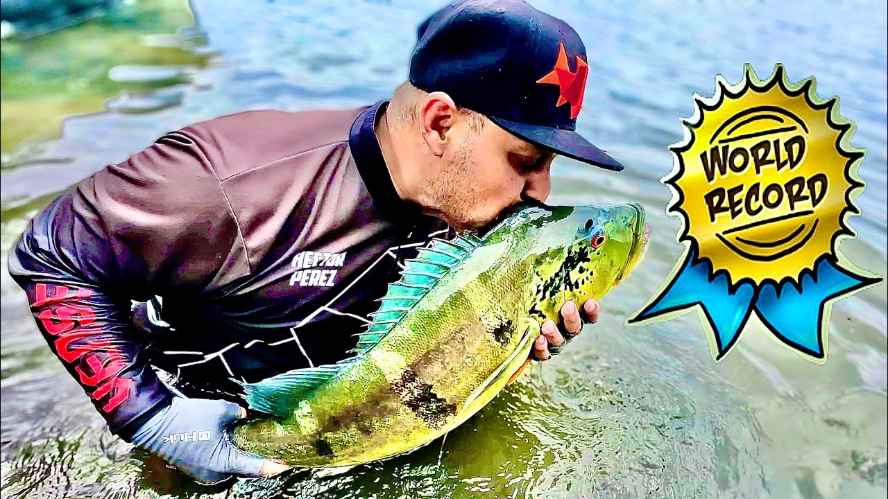 Como registrar un r&eacute;cord mundial de pesca (Proceso Completo) @IGFAHQ  || Hector Perez Pescando