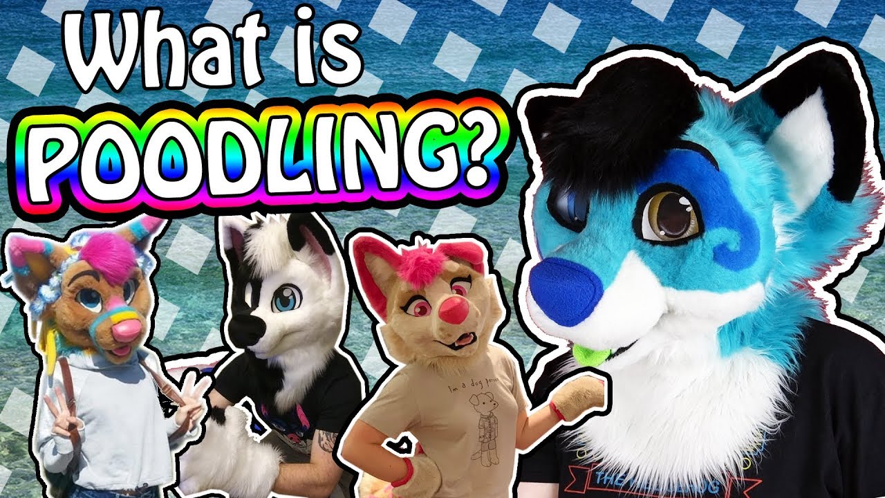 What is FURSUIT POODLING? 🤔