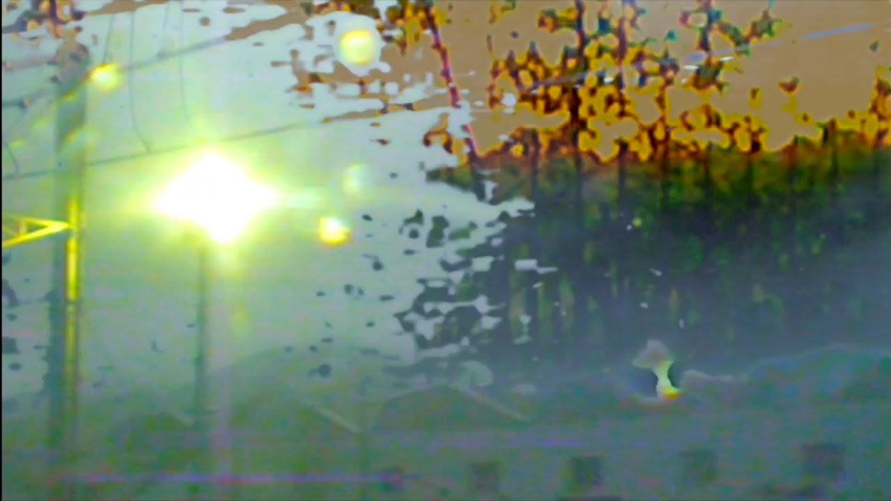 SALEM - Wings (R4 visualizer)