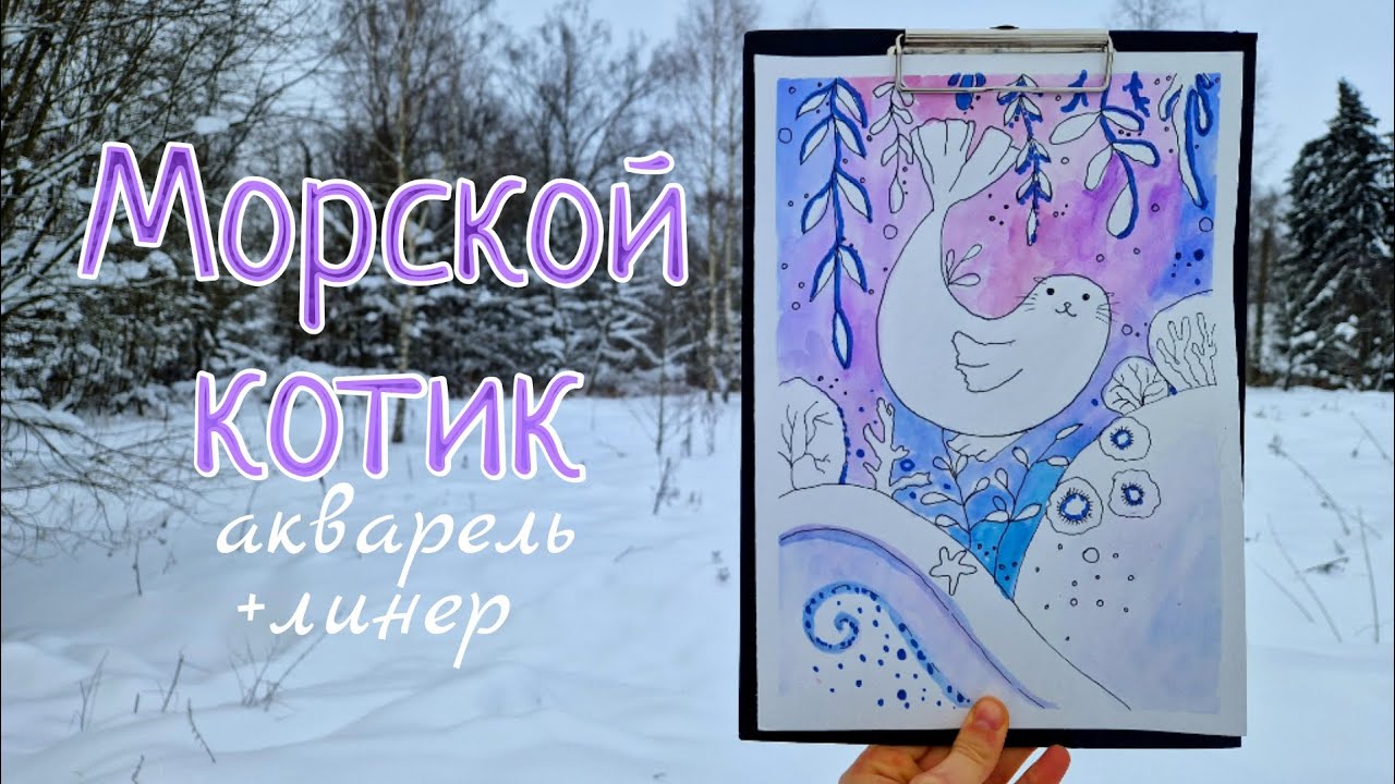 КАК НАРИСОВАТЬ МОРСКОГО КОТИКА?