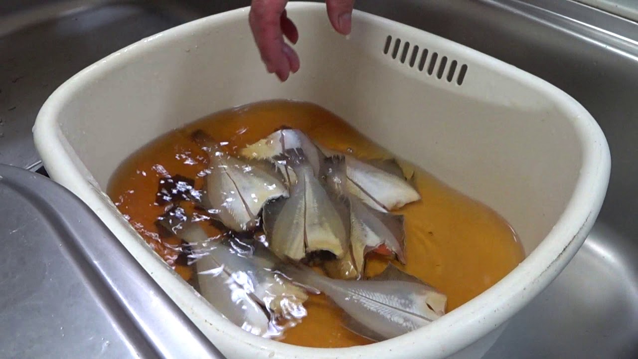 釣ったカレイで干物（珍味）をつくる