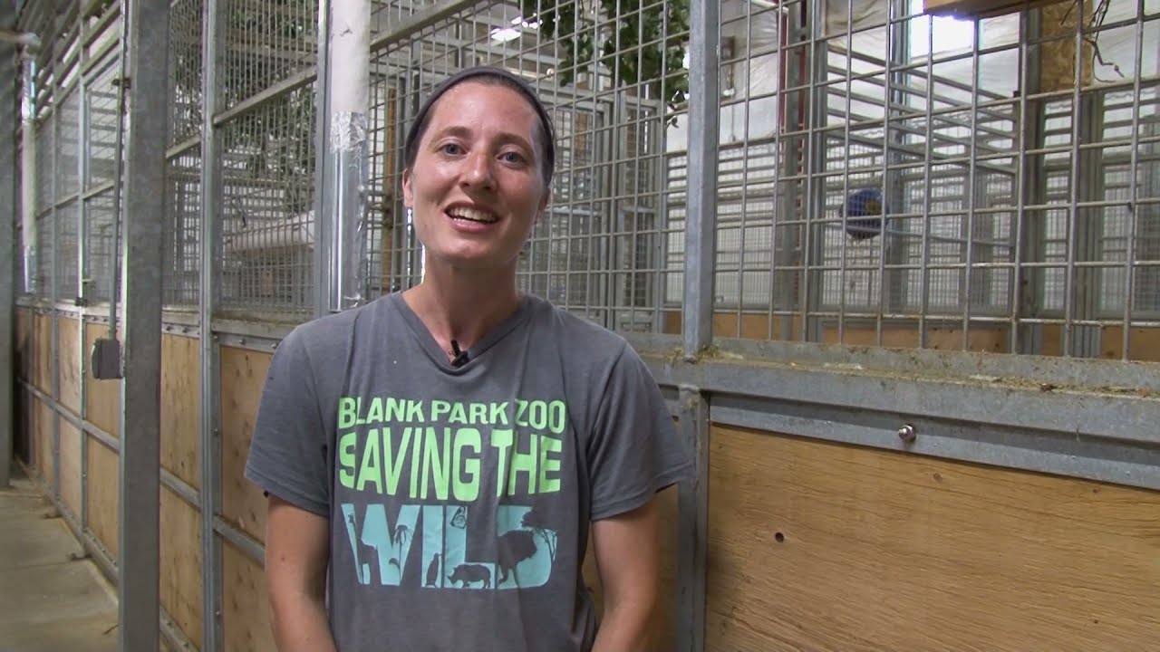 Hope For The Wild - Giraffe