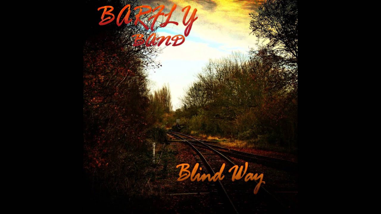 BarFly Band Album