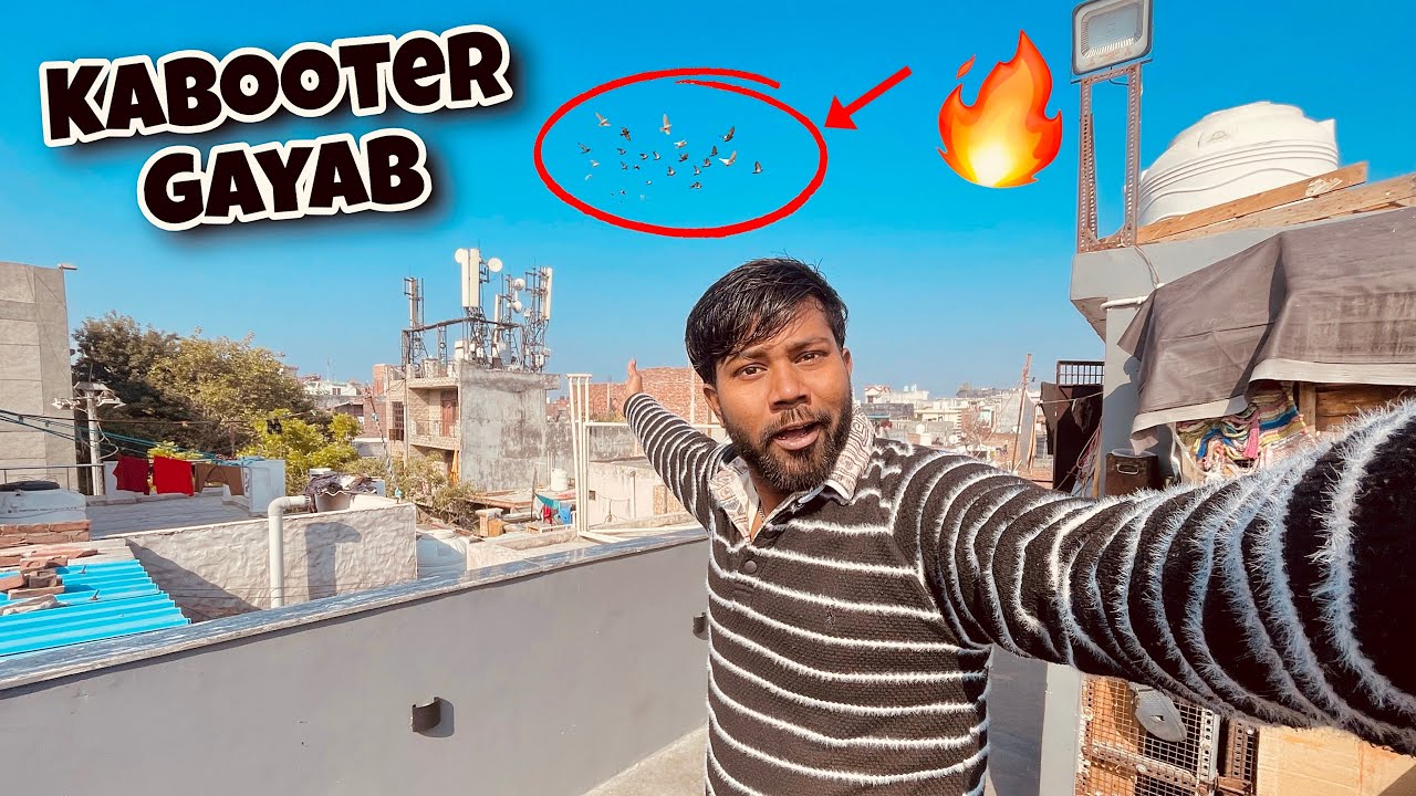 2 Gante Ke khel me kabootar Gayab 🤩| एक दिन के खेल में कबूतर ग़ायब 😎