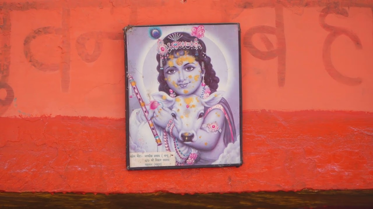 Day 2 !! Brij 84 Kos Yatra Vrindavan !! Achrya Man Mohan !!