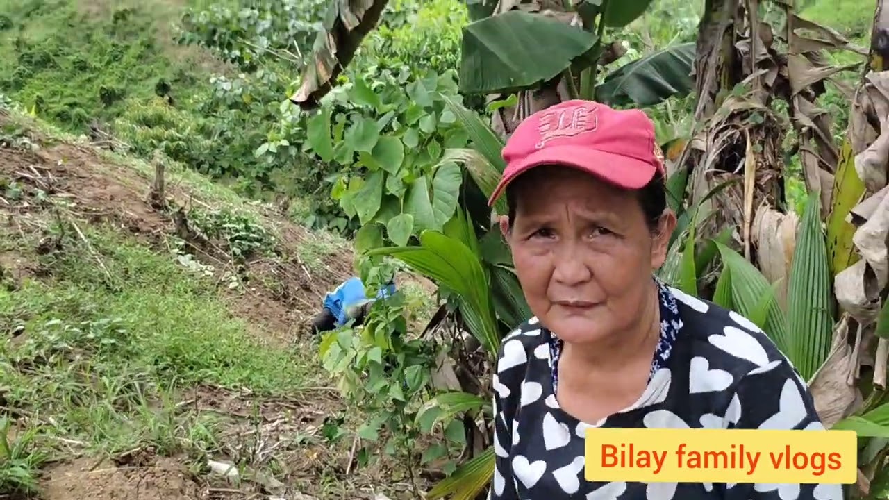 Mang Guna ta sa atong tanom na kamote bilay family vlogs