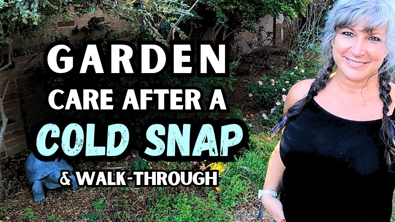Care After A Cold Snap & Flower Garden Walk Through