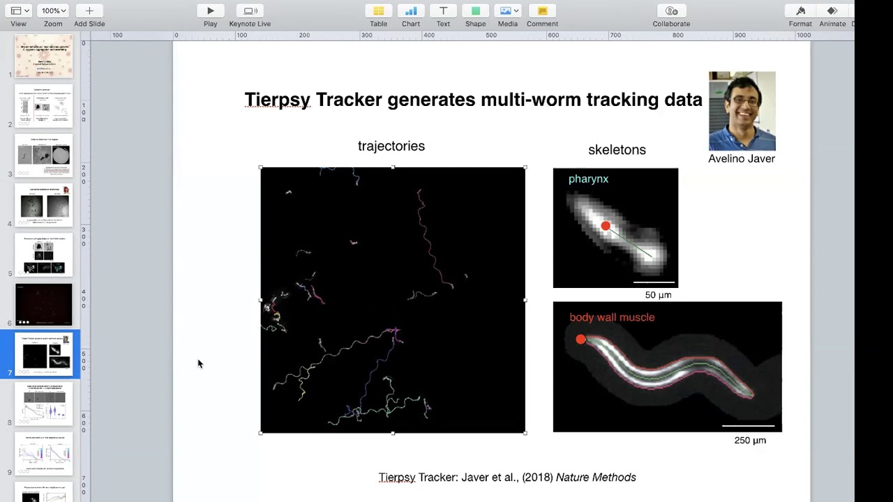 Serena Ding (Imperial): Shared Behavioral Mechanisms Underlie C. elegans Aggregation and Swarming
