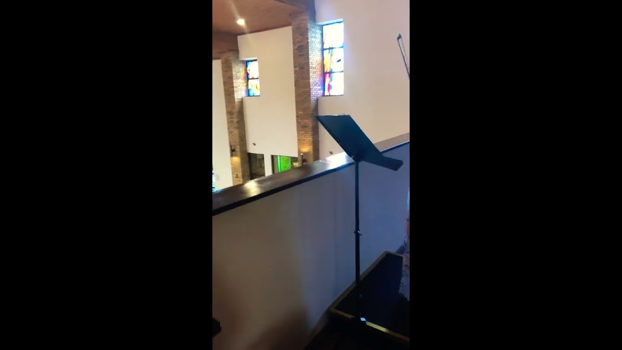 Ave Maria - F. Schubert violin & organ