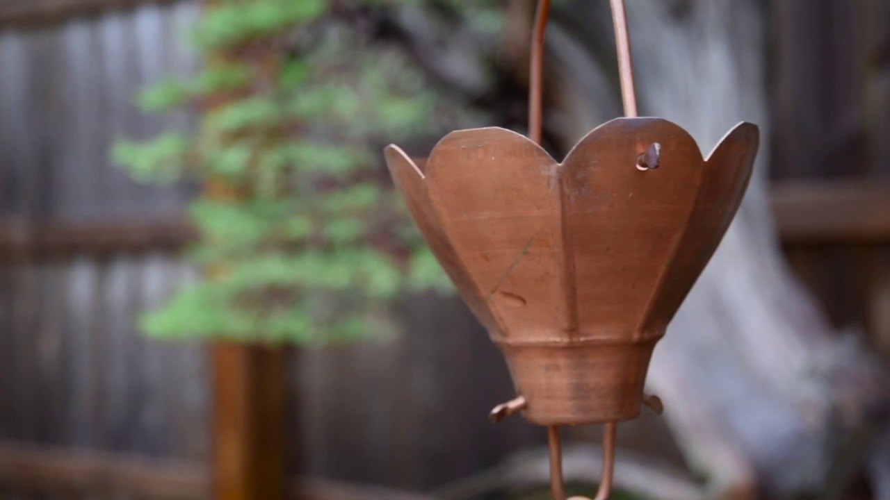 Bonsai in the Rain | Sounds from the Garden