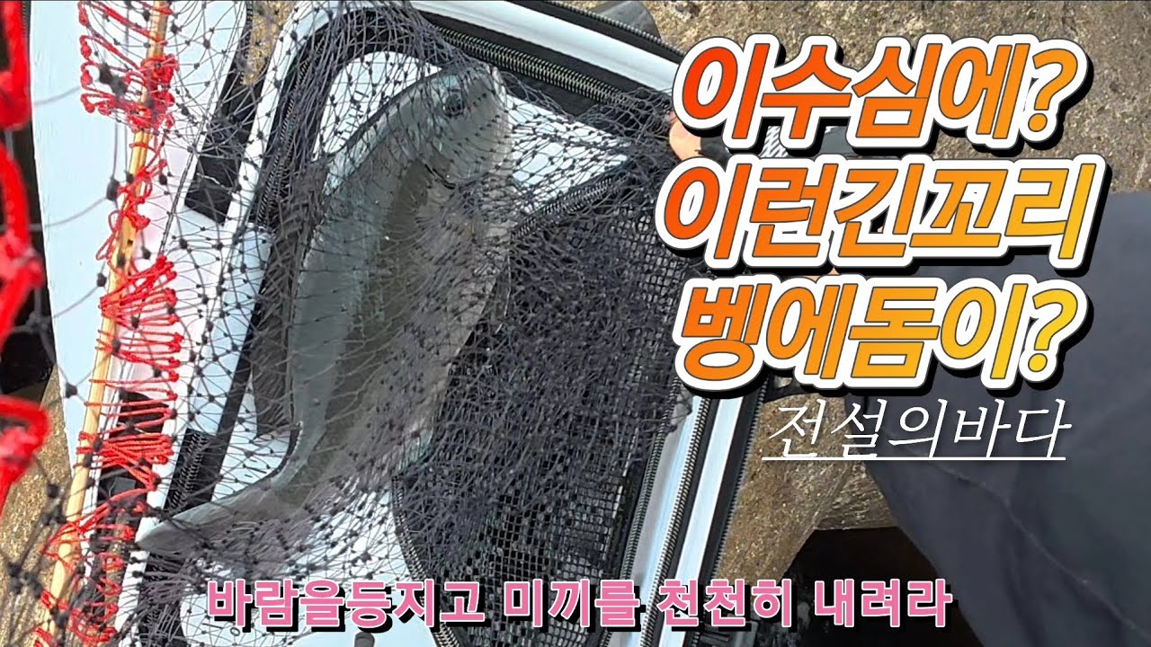 2026년 1월 25일