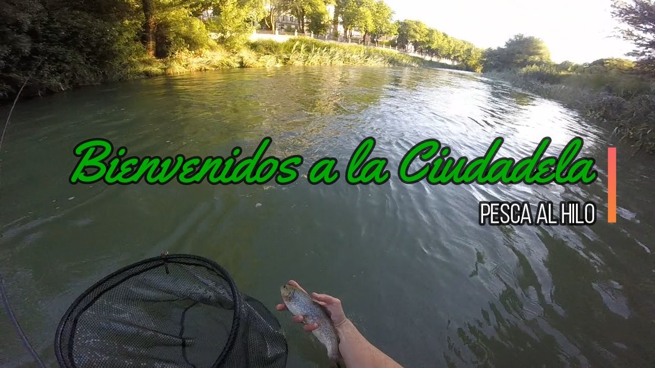 Pesca de truchas al hilo: Bienvenid@s a la Ciudadela