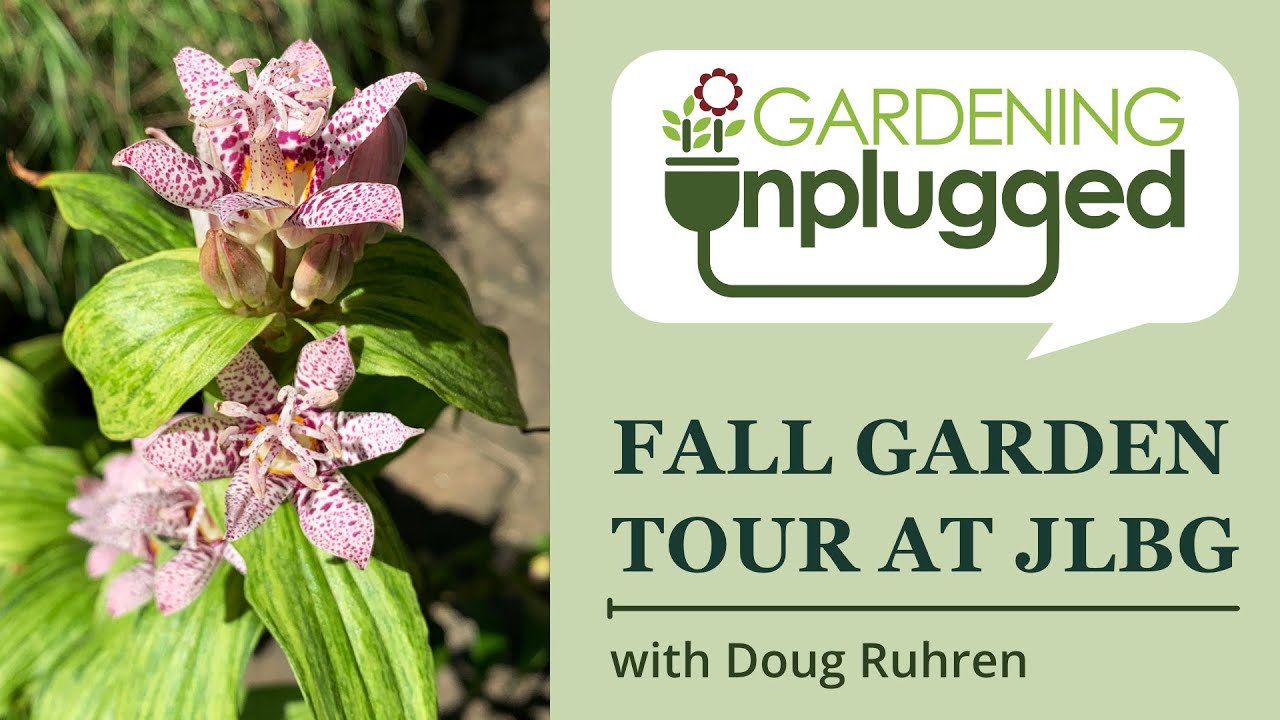 Gardening Unplugged -  Zone 7b/8a Fall garden tour at JLBG with Doug Ruhren