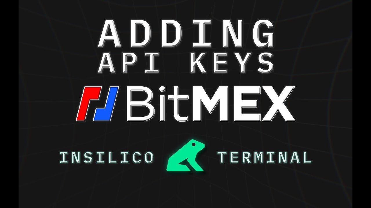 Adding Bitmex API Key to The Terminal
