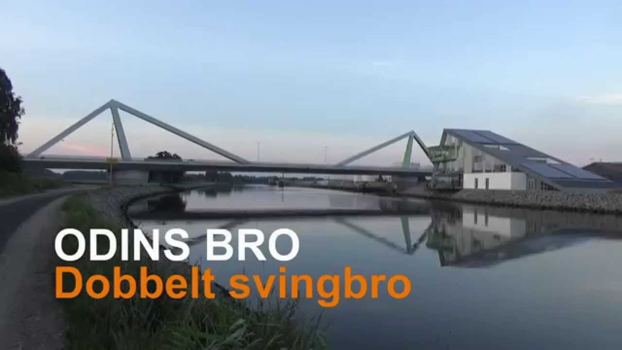 Odins bro