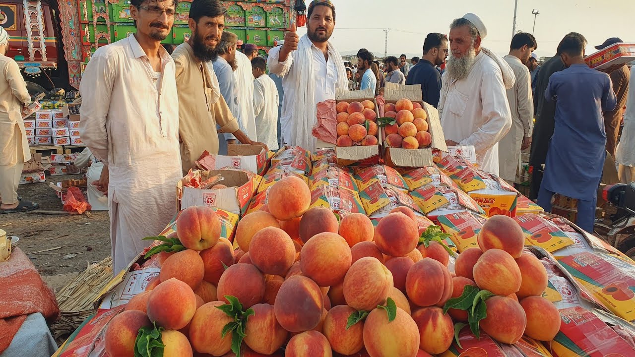 Swat Best quality peach | Waziristan plums and Apple | Afghanistan Apricot | fruit mandi islamabad |