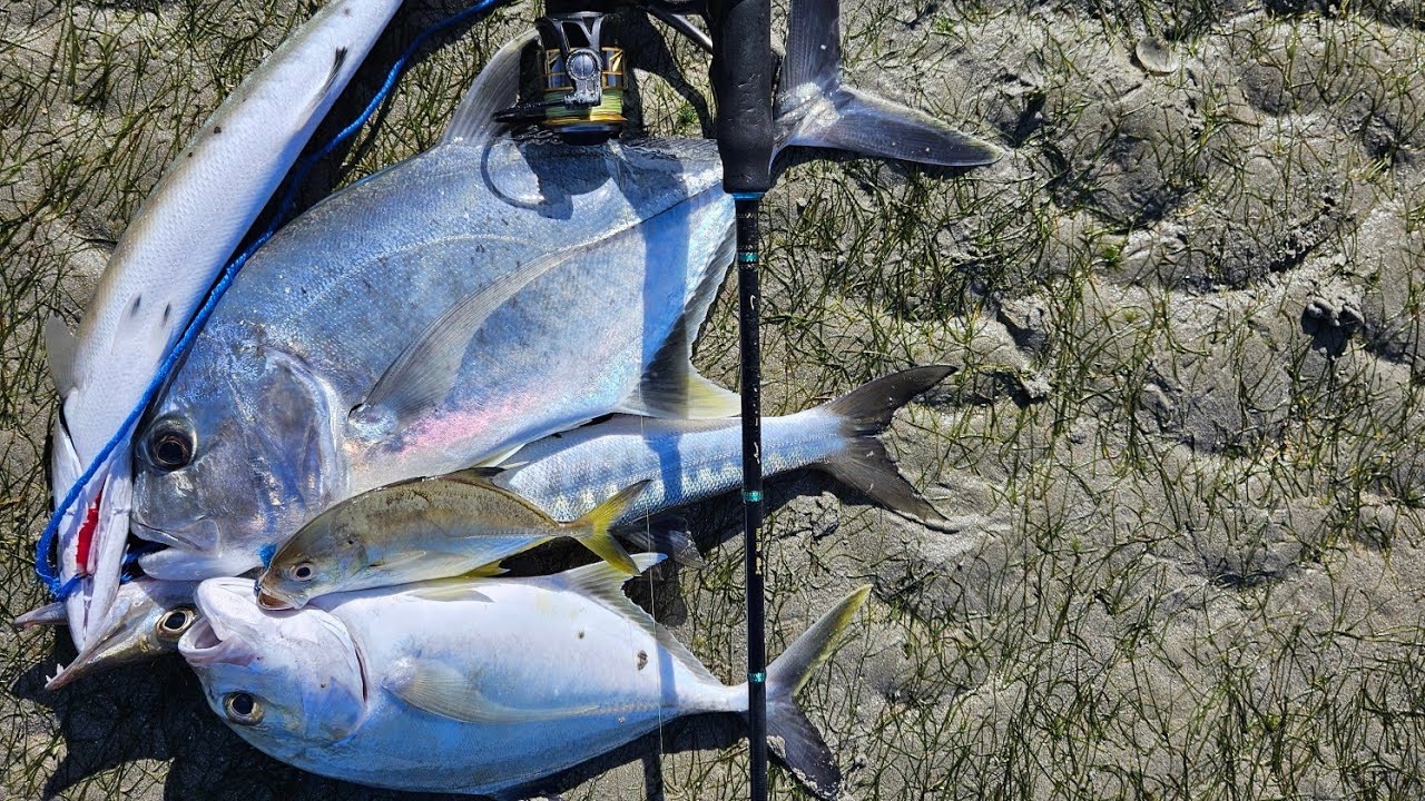 KAWAN SAMPE BINGUNG.. KOK  SAYA BISA  STRIKE TERUS 🤣😁🎣