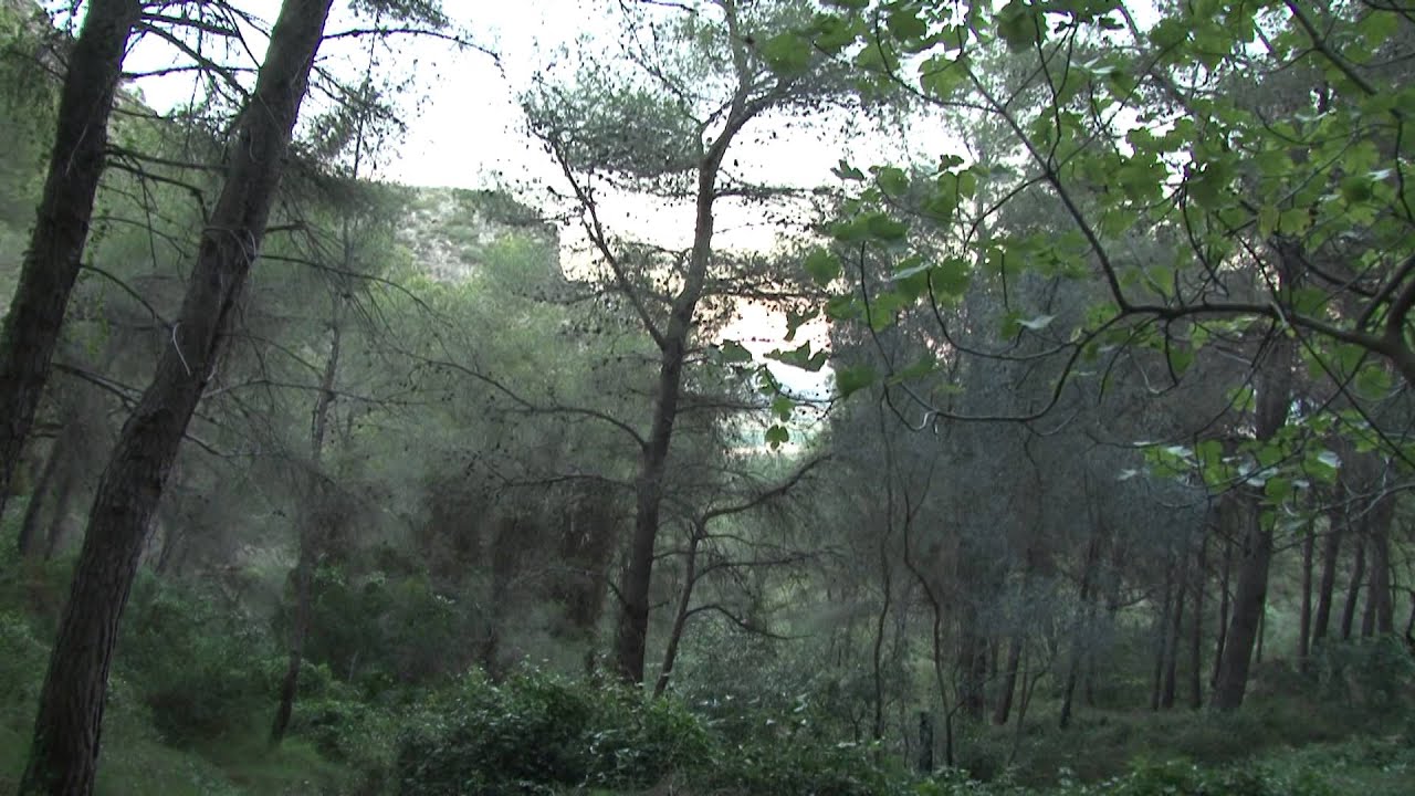 Corbera (València)