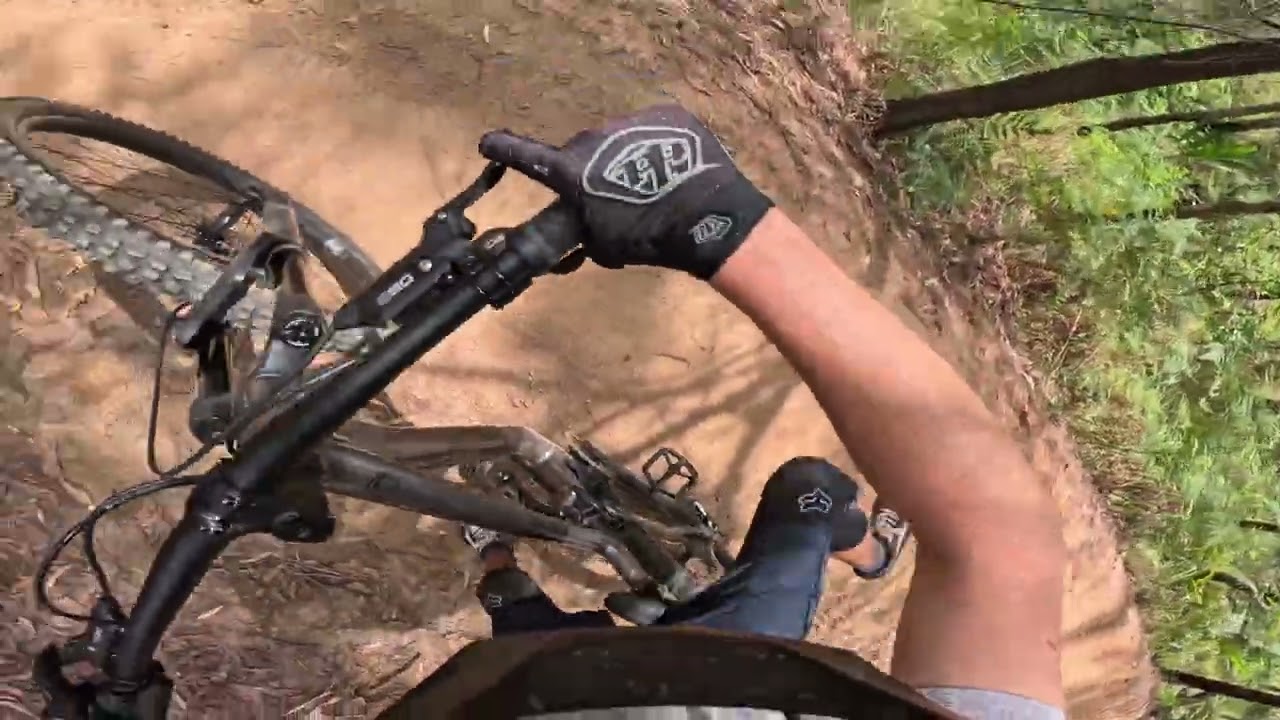 Tewantin national park trails at the best 