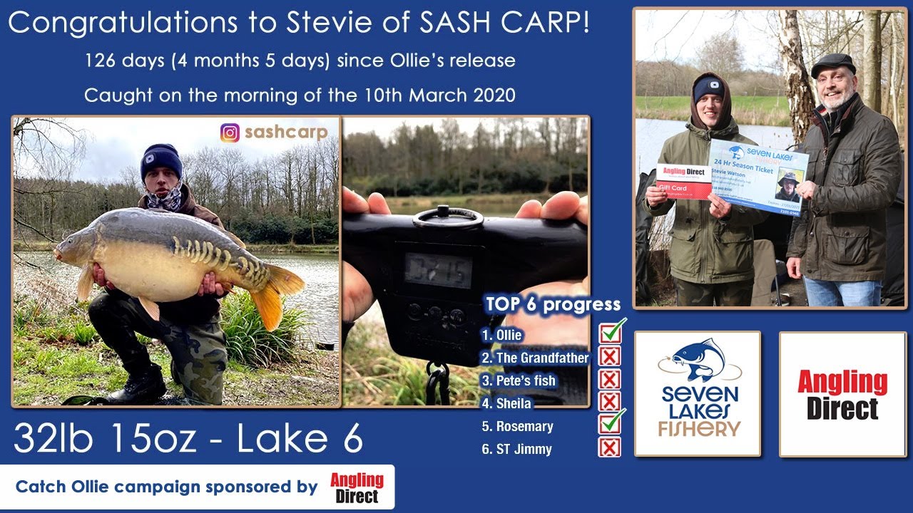 Stevie Watson of Sash Carp - catching 'Ollie' the 32lb 15oz mirror carp at Seven Lakes