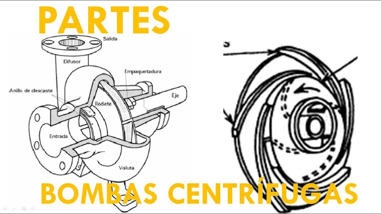 BOMBAS HIDRÁULICAS ROTATIVAS CENTRÍFUGAS: PARTES.
