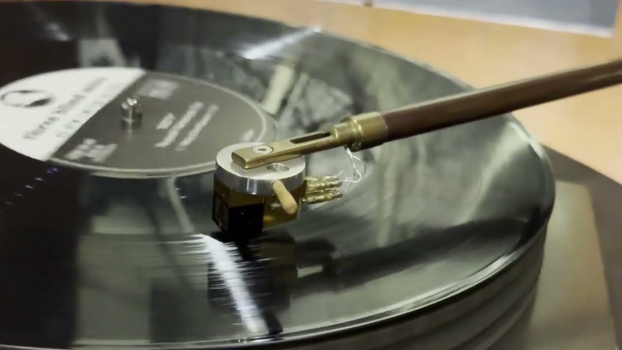 GARRARD 401 / DIY TONEARM / NAGAOKA MP500