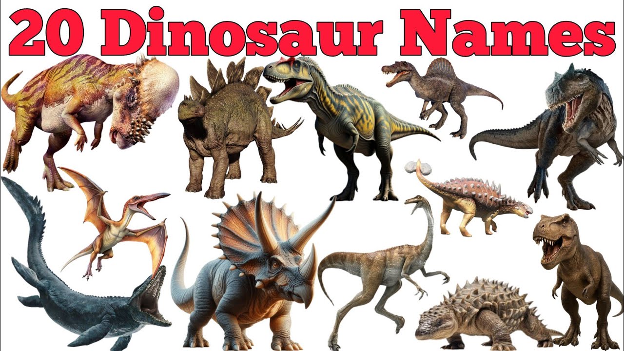 20 Dinosaur Names In English & Hindi With Fun Facts | Fun Learning For Pre-school Children