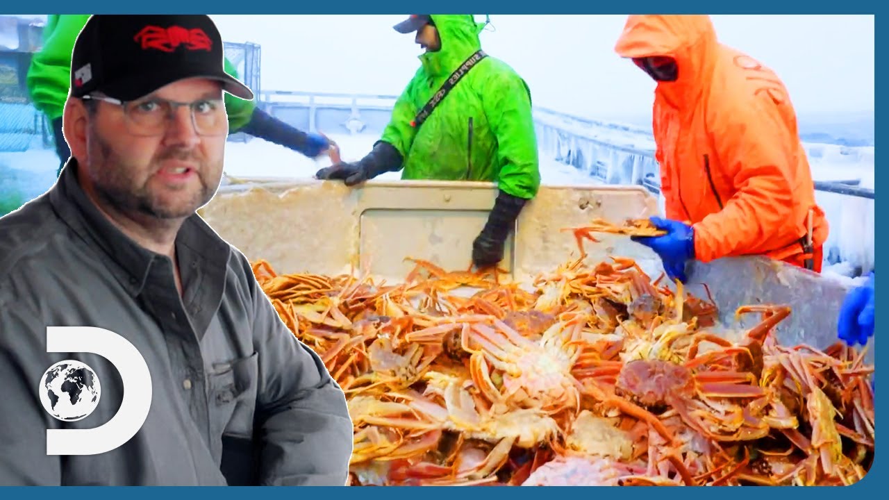 Captain Rick DESPERATE To Save His Crab From Freezing Temperatures! | Deadliest Catch