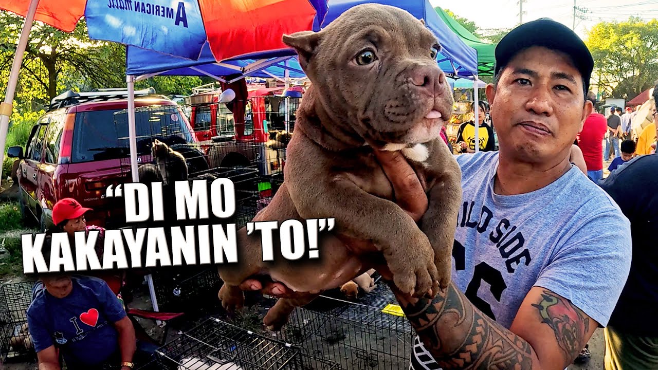 MAGKANO NA ITO NGAYONG 2026 ?