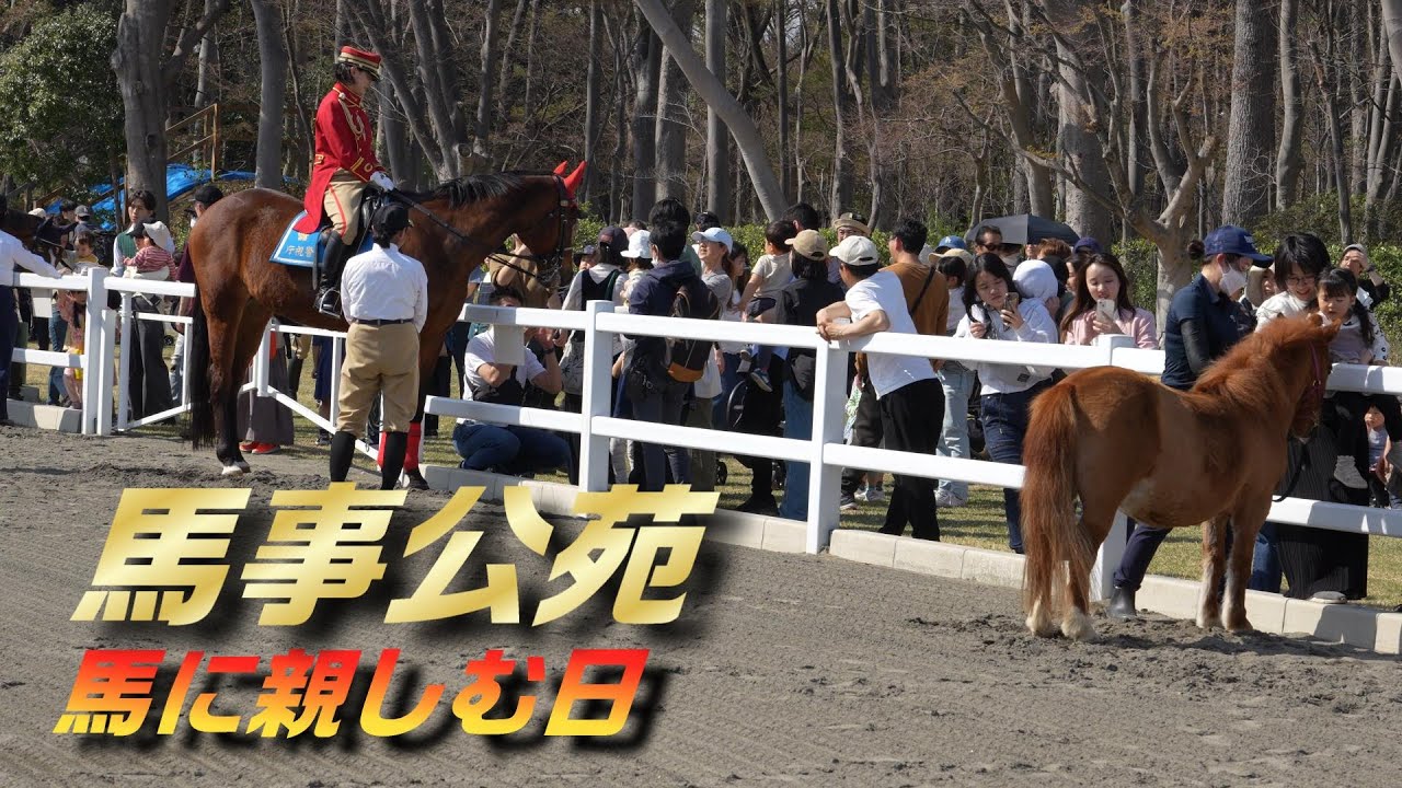 馬事公苑に春が来た♪ 馬に親しむ日 2024/3/31