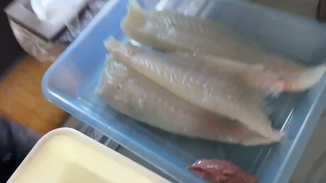 ヒラメ捌き方初級続き