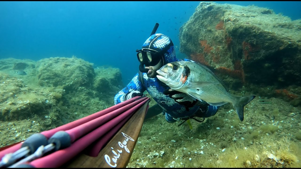 Chasse Sous-Marine Corse Dentex 125 by Carl's Guns spearfishing